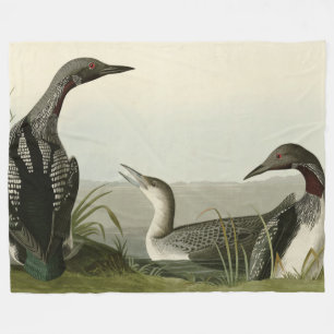 Couverture Polaire Oiseaux auriculaires à gorge noire d'Amérique