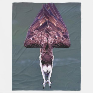 COUVERTURE POLAIRE OSPREY DANS UNE PLONGÉE