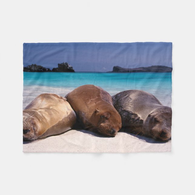 Couverture Polaire Otaries dormant sur la plage | Equateur (Devant (Horizontal))