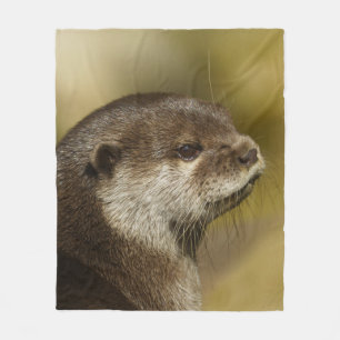 Couverture Polaire Otter Regardant Sur Son Épaule