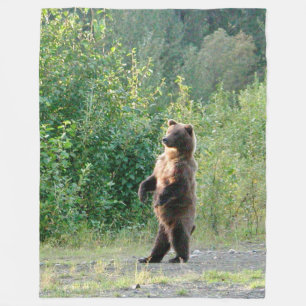 Couverture Polaire Ouatine 60x80 couvrant de l'ours gris debout