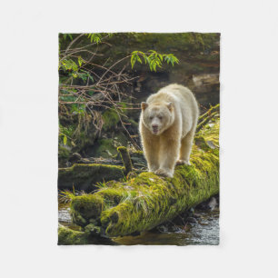 Couverture Polaire Ours blanc Colombie-Britannique, Canada
