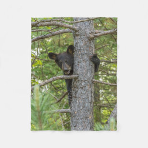 Couverture Polaire Ours Brun Petit Grimpeur d'Arbre