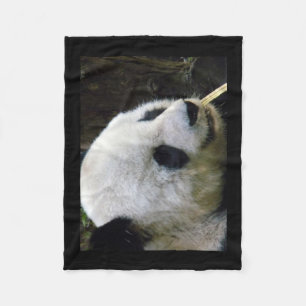 Couverture Polaire Panda