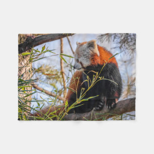 Couverture Polaire Panda rouge