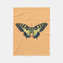 Papillon jaune et noir