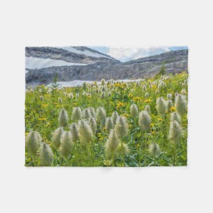 Couverture Polaire Pasqueflower occidental Monts East Kootenay