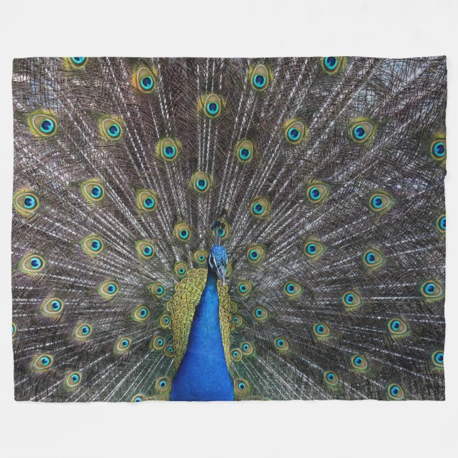 COUVERTURE POLAIRE PEACOCK (Devant (Horizontal))