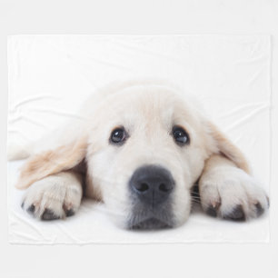 Couverture Polaire Petit chiot mignon, repaire d'or
