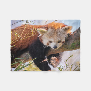Couverture Polaire Petit panda rouge pâle