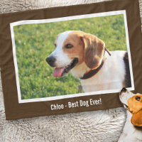 Photo et nom du chien Beagle personnalisé