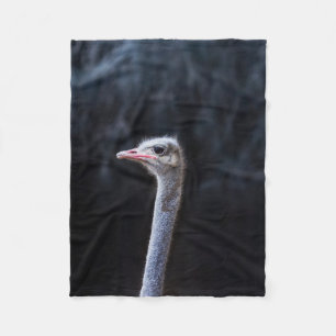 Couverture Polaire Photographie d'autruche