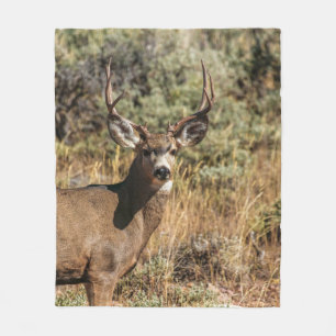 COUVERTURE POLAIRE PHOTOGRAPHIE DE LA VIE SAUVAGE DE BUCK BROWN