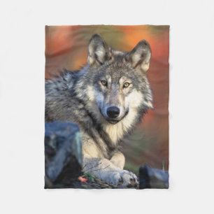Couverture Polaire Photographie de loup