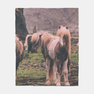 COUVERTURE POLAIRE PHOTOGRAPHIE DES CHEVAUX À FAIBLE INFLUENCE