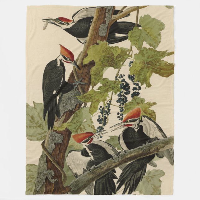 Couverture Polaire Pic pilé d'Audubon Birds of America (Devant)