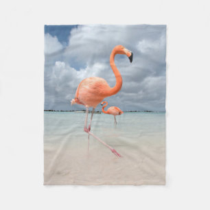 Couverture Polaire Plages tropicales   Flamants roses Beach, Aruba