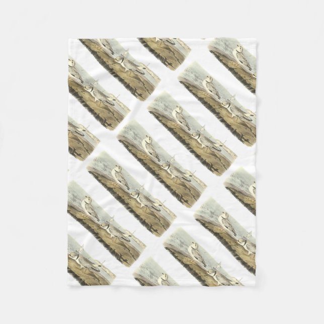 Couverture Polaire Pluvier sifflant par Audubon (Devant)