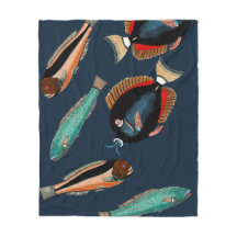 Poissons tropicaux