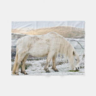 Couverture Polaire Poney Fell blanc sur la lande en hiver