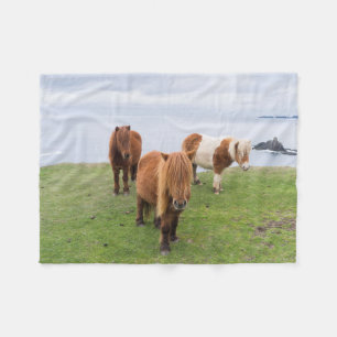 Couverture Polaire Poney Shetland dans un pâturage près de hautes fal