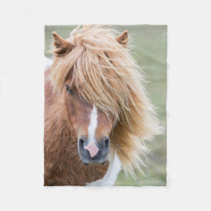 Couverture Polaire Poney Shetland sur l'île d'Unst