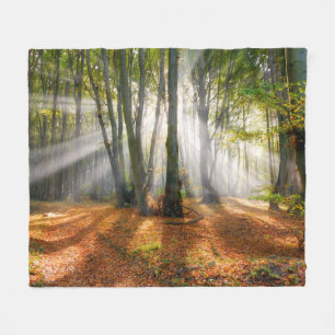 Couverture Polaire Poutres de soleil dans une forêt de hêtres brumeux