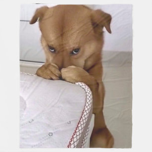 COUVERTURE POLAIRE PRIÈRE DE CHIEN