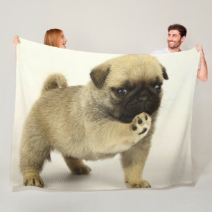 Couverture Polaire Pug puppy