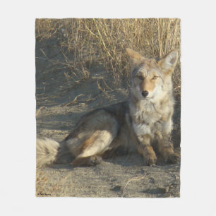 Couverture Polaire R19 Coyote Couché