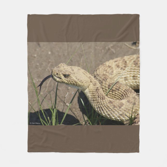 Couverture Polaire R6 Crotale des prairies (Devant)