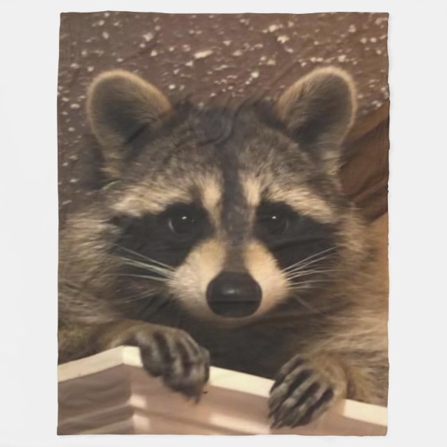 COUVERTURE POLAIRE RACCOON DOUX (Devant)