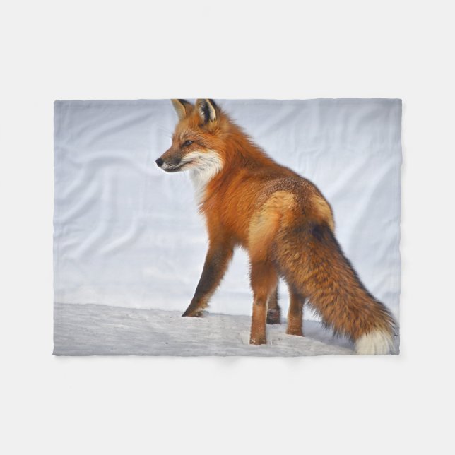 Couverture Polaire Renard rouge en hiver (Devant (Horizontal))