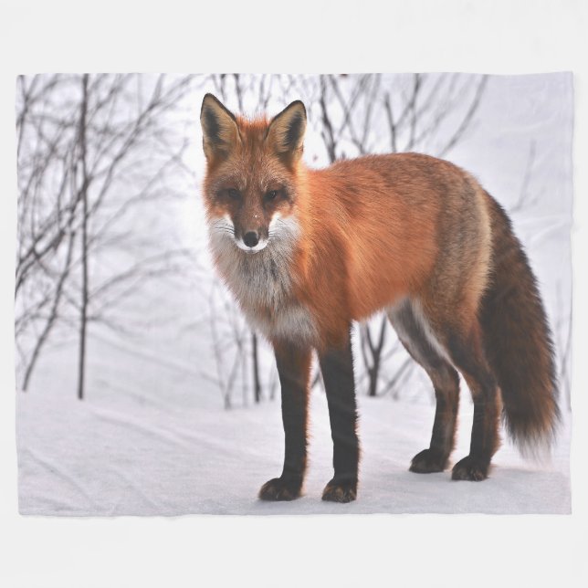 Couverture Polaire Renard rouge en hiver (Devant (Horizontal))