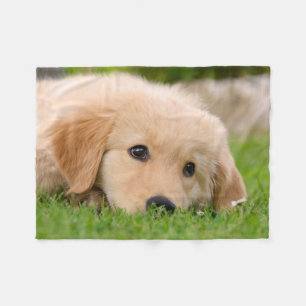 Couverture Polaire Rêver mignon de chiot de golden retriever,