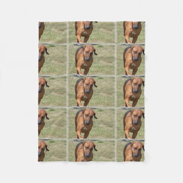 Couverture Polaire Rhodesian Ridgeback caracolant (Devant)