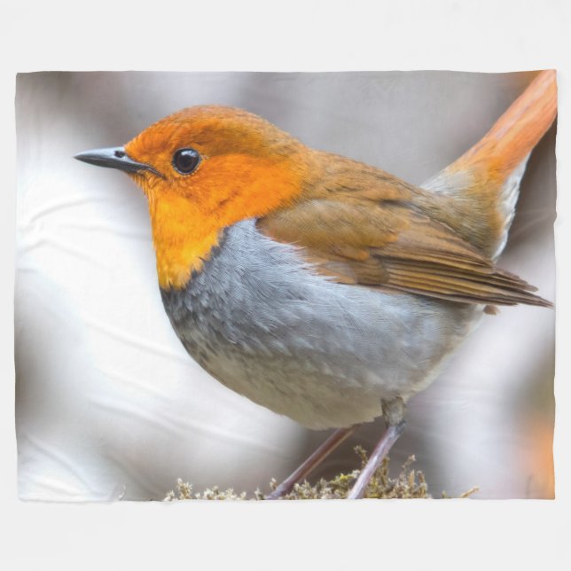 Couverture Polaire Robin japonais (Devant (Horizontal))