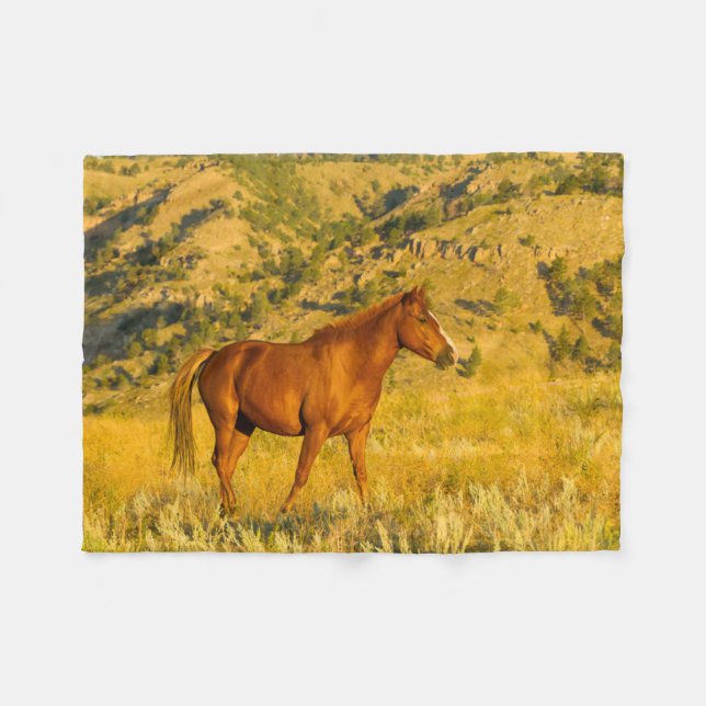 Couverture Polaire Sanctuaire de chevaux sauvages. (Devant (Horizontal))
