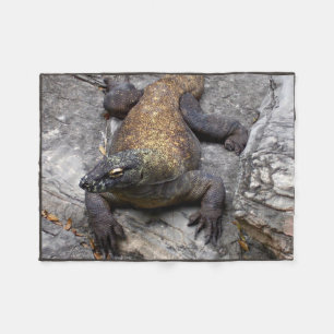 Couverture Polaire Scène de Komodo Dragon sur roche chaude