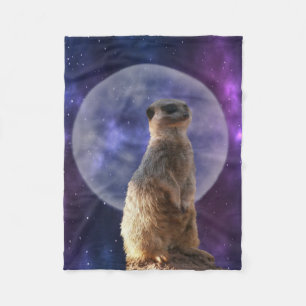 Couverture Polaire Sentinelle cosmique : Meerkat sous la Pleine lune