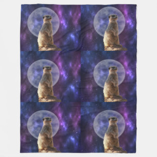Couverture Polaire Sentinelle cosmique : Meerkat sous la Pleine lune