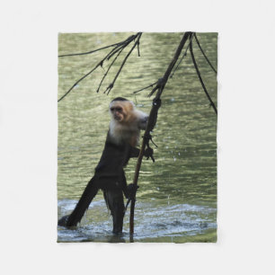 Couverture Polaire Singe capucin