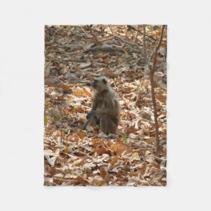 Couverture Polaire Singe en saison sèche