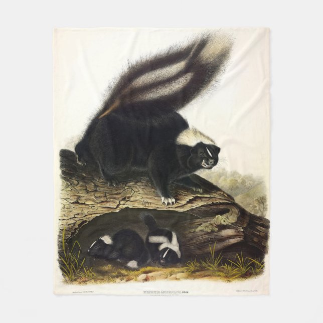 Couverture Polaire Skunk américaine commune ou Striped Skunk, par Aud (Devant)