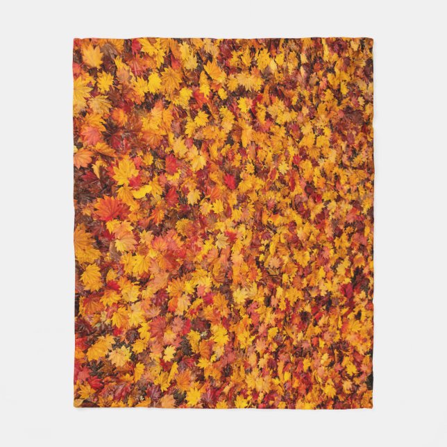 COUVERTURE POLAIRE SORTIES D'AUTOMNE (Devant)