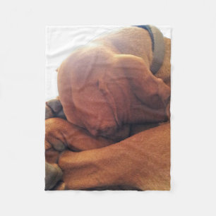 Couverture Polaire Temps de sommeil