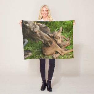 Couverture Polaire Tendre Mère Moose