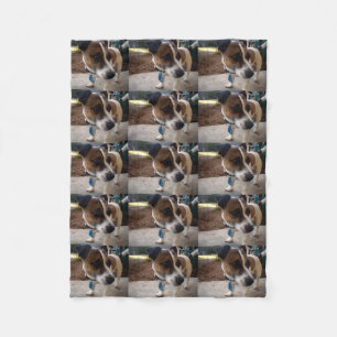 Couverture Polaire Terrier Minier Brown Et Blanc De Renard,