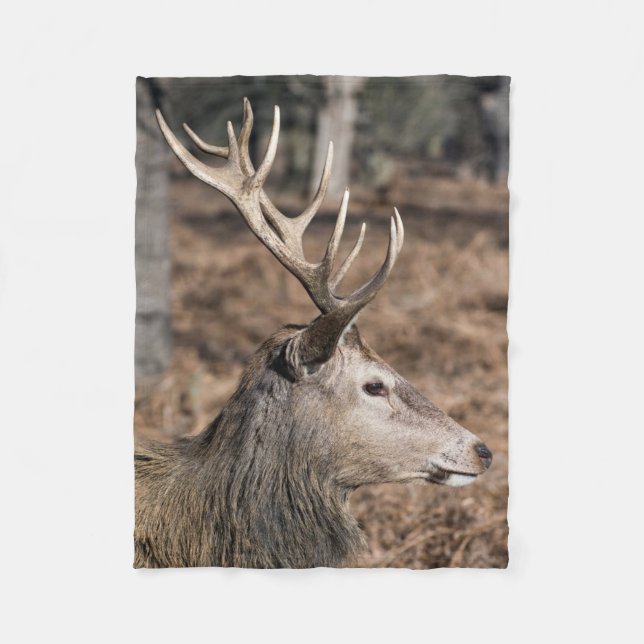 Couverture Polaire The King's Deer of Richmond Park, Londres, Royaume (Devant)