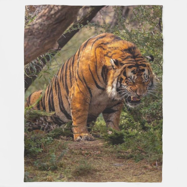 COUVERTURE POLAIRE TIGER (Devant)